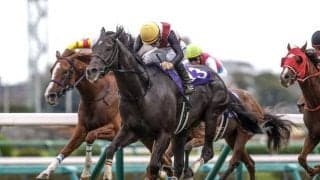 【阪神C想定馬・騎手】ルガル、ナムラクレアなど17頭