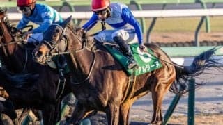 ターコイズSは波乱傾向のハンデ戦 血統にも注目