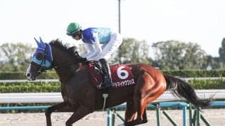 【競馬予想】朝日杯FS、ホープフルＳの勝ち馬は？　そのヒントが隠されている「２歳牡馬ランキング」