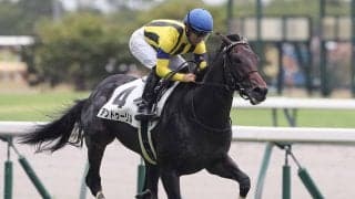 【競馬予想】確たる主役不在の「２歳牡馬ランキング」　混戦を抜け出す有力候補は？