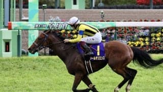 皐月賞馬ソールオリエンスが登録抹消…種牡馬入り