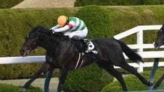 【ポインセチアS結果】初ダートのロックターミガンが逃げ切りV