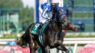 【朝日杯FS予想】2歳馬にとって長距離輸送は大きな負担!? 関東馬は前走の上がり順位に注意が必要