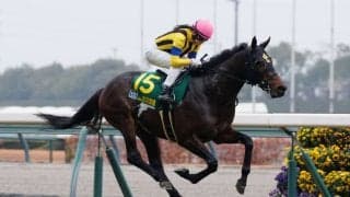 【ヤングJSFR中京1】古川奈穂騎手がYJS初戦を制す