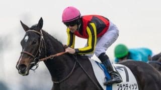 【新馬/中山5R】大物感溢れるプラウディッツがデビューV