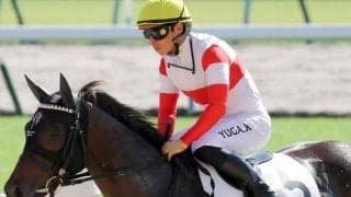 【コールドムーンS】友道厩舎では異色のダート短距離馬 ダノンフィーゴがオープン初勝利なるか