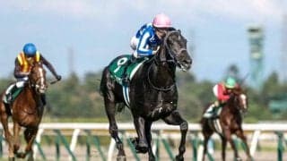 【朝日杯FS前日オッズ】リアライズシリウスが2.8倍で1番人気