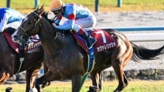 阪神芝は道悪なら外差し優勢か パワー型のカヴァレリッツォに注目