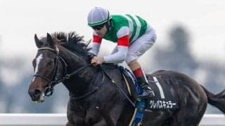 【ひいらぎ賞】断然人気クレパスキュラーがデビュー2連勝