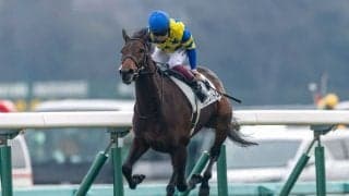 【新馬/中山6R】4億円ホースは4着敗退…伏兵リュクスパトロールが逃げ切る