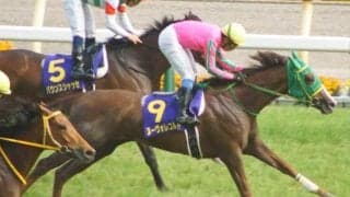 母はオークス馬のヌーヴォレコルト トリニティがC.ルメール騎手で新馬勝ち狙う