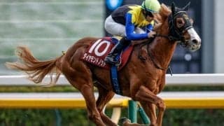 【AI予想・朝日杯FS】血統や過去傾向から狙い目は十分！ 人工知能は過小評価された実績馬に期待