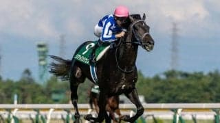 【朝日杯FS】リアライズシリウス8枠13番へ