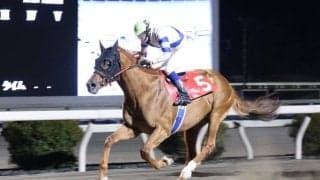 【鏡川特別】10歳馬健在！アルドーレが快勝