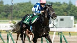 霜降り明星・粗品が朝日杯FSを予想 リアライズシリウスで勝負だ