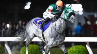 【浦和・ゴールドC枠順】重賞4勝目を狙うフェブランシェは6枠9番