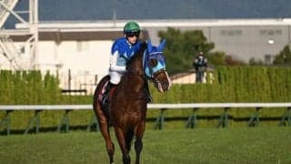 【今日の注目ポイント】阪神で2歳マイル王決定戦・朝日杯FS