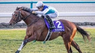 朝日杯FSは上位人気が優勢か ローテーションにも注目