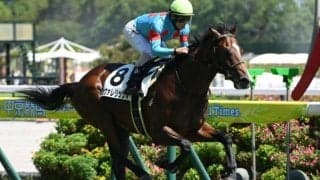 【朝日杯FS予想】2歳マイル王決定戦 瞬発力が問われる一戦