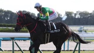 【競馬予想】朝日杯FSは有力５頭が中心も、馬場次第で大駆けが期待できる穴馬が２頭いる