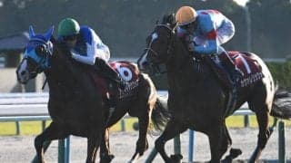 朝日杯FSは道悪必至 パワー型のカヴァレリッツォ＆エコロアルバに期待