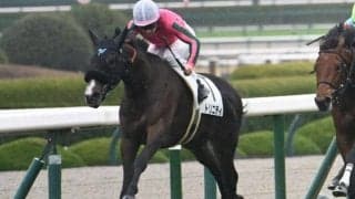 【阪神5R新馬戦結果】トリニティが押し切り新馬勝ち 母はオークス馬ヌーヴォレコルト