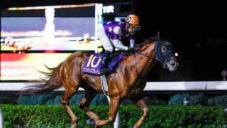 【園田・兵庫GT枠順】今年のオーバルスプリント覇者サンライズフレイムは1枠1番