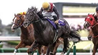 【阪神C】ルガル、ナムラクレアらが登録