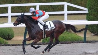 【阪神8R】武豊デルアヴァーが鮮やかな差し切りV…2、3着波乱で3連単は300万円超え