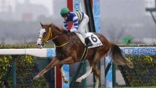 【新馬/阪神6R】タワーオブロンドン産駒 ワイドシュテルケが人気に応える