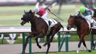 【新馬/阪神5R】良血トリニティが快勝…母はヌーヴォレコルト