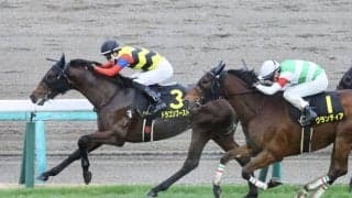 【ディセンバーS】3歳馬ドラゴンブーストが逃げ切る…半年以上の休養明け