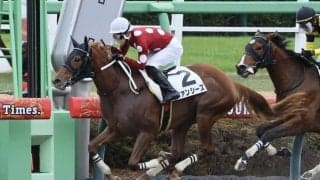 【新馬/中山6R】ルヴァンスレーヴ産駒 ファンシーズがデビューV