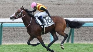 【新馬/中山5R】サートゥルナーリア産駒 ロデオドライブがデビュー勝ち