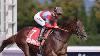 リメイクが引退…種牡馬入り