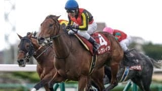 有馬記念と土曜にホープフルS・中山大障害・阪神C/今週の競馬界の見どころ