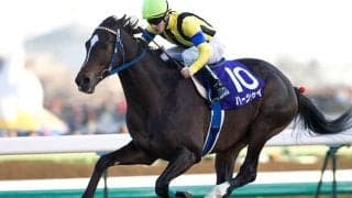 ディープインパクト唯一の国内敗戦 ハーツクライが制した20年前の有馬記念