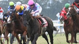 【阪神C見どころ】昨年の覇者ナムラクレアが連覇を狙う