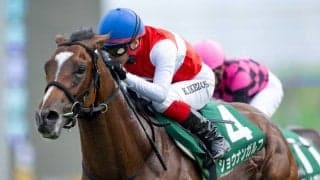 【ホープフルS見どころ】ショウナンガルフが無敗戴冠を狙う