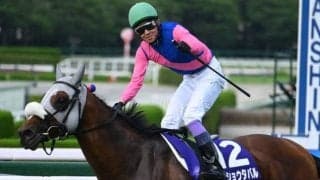 「あなたが有馬記念で“夢を託す”一頭は？」 大一番を前に熱き思いが続々と