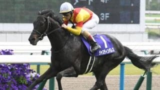 「12月28日」の有馬記念は“9文字の馬名”が狙い!? ラストランになる点も追い風に