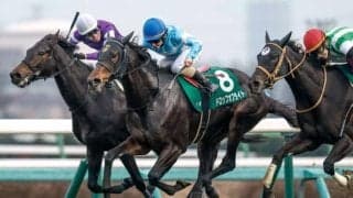 【ターコイズS】売上は54億2218万6700円で昨年より約9億円増加