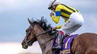 【先週のJRA抹消馬】23年皐月賞馬のソールオリエンス、ダート短距離重賞5勝のリメイクなど