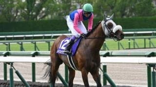 【有馬記念の過去10年データ】中山の直線は短い 脚質のセオリーは逃げ・先行馬