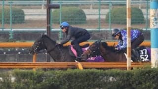 友道師「武豊騎手も好感触をつかんでくれた」 ローズラフィネが土曜阪神で初陣/関西馬メイクデビュー情報