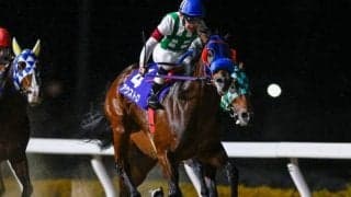 【浦和・ゴールドC注目馬】南関東の短距離戦線を締めくくる一戦に豪華メンバー集結