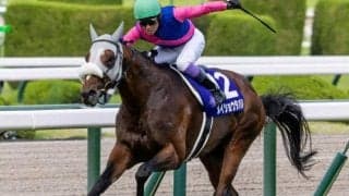 【有馬記念】武豊騎手が歴代単独トップの5勝目なるか 宝塚記念覇者のメイショウタバルで参戦