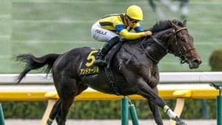 【AI予想・ホープフルS】今年も人気薄の大駆けに注意!? 近走の内容がキラリと光る人工知能の本命候補