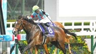 2歳マイル王者に輝いたカヴァレリッツォ 血統構成は成功馬多数の要注目配合