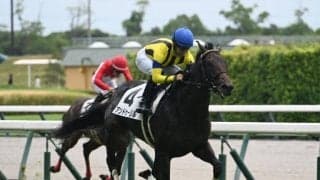 【ホープフルS展望】「前走OP・GII組」と「距離延長組」に妙味あり